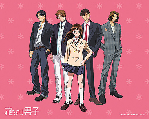 DVD Anime Meteor Garden (Hana Yori Dango) Complete Series (1-51 + Movie) ENGLISH