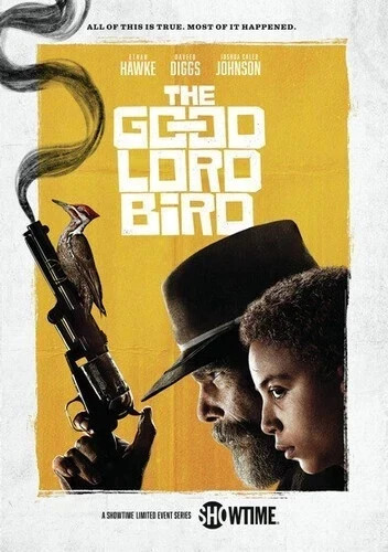 THE GOOD LORD BIRD (DVD) – GOOD- Tested – Clean Disc RARE