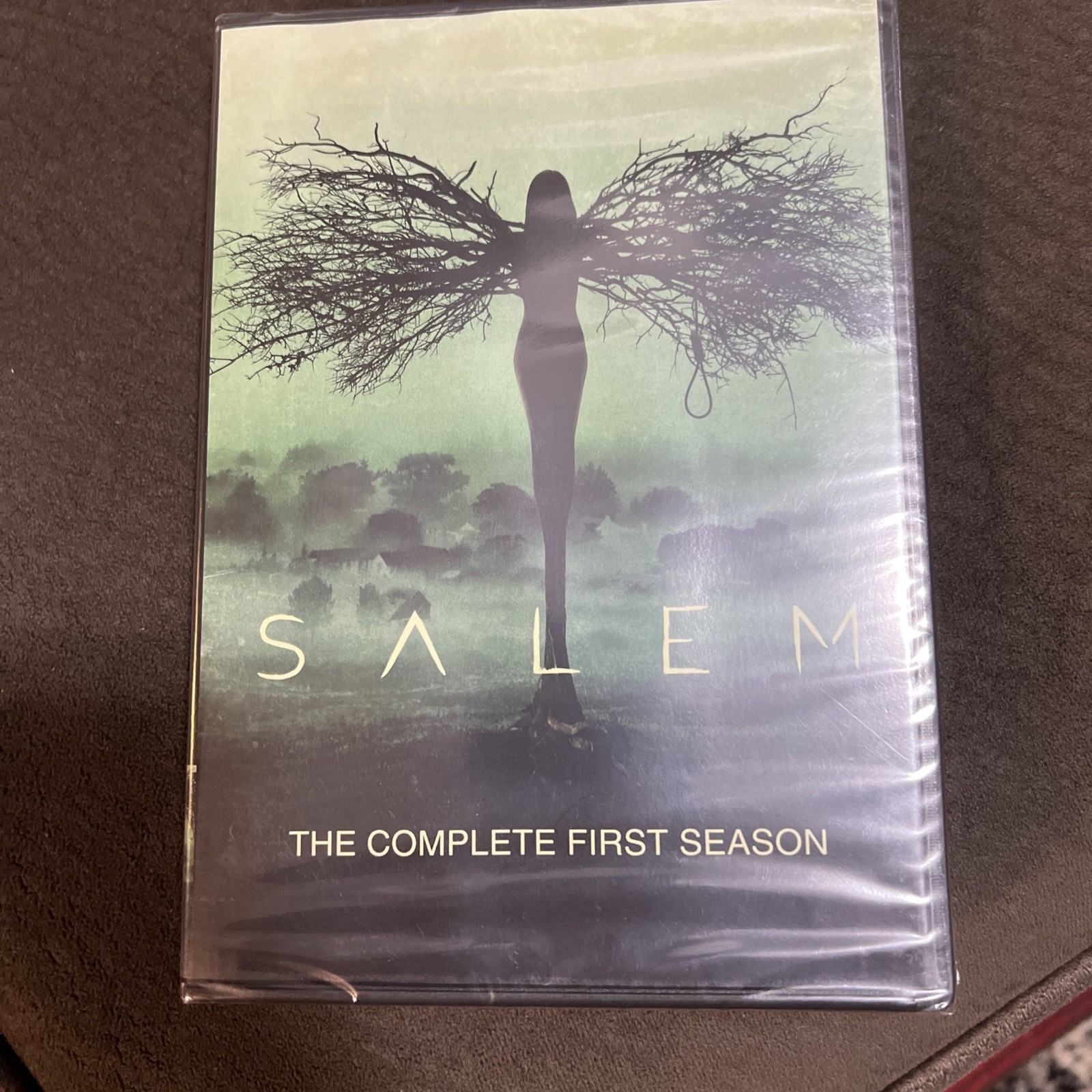 Salem: the Complete First Season (DVD, 2014)