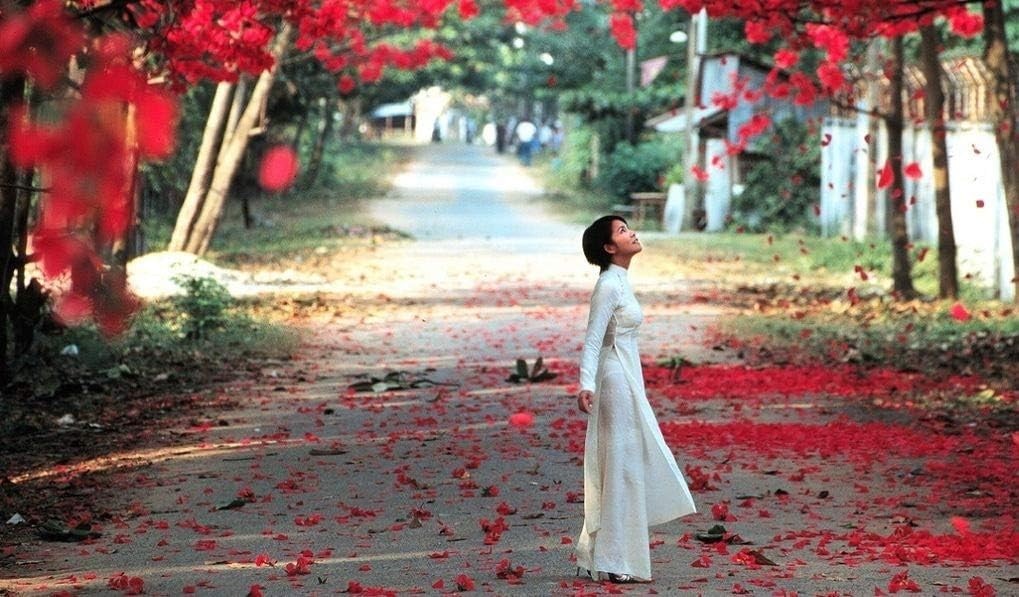 Three Seasons (1999 Giai Phong/October Films Studios, Tony Bui, PG-13 All Region