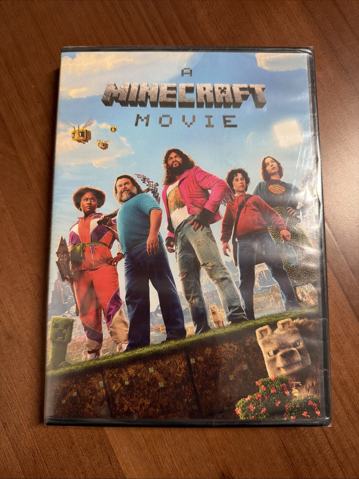 A Minecraft Movie DVD NEW