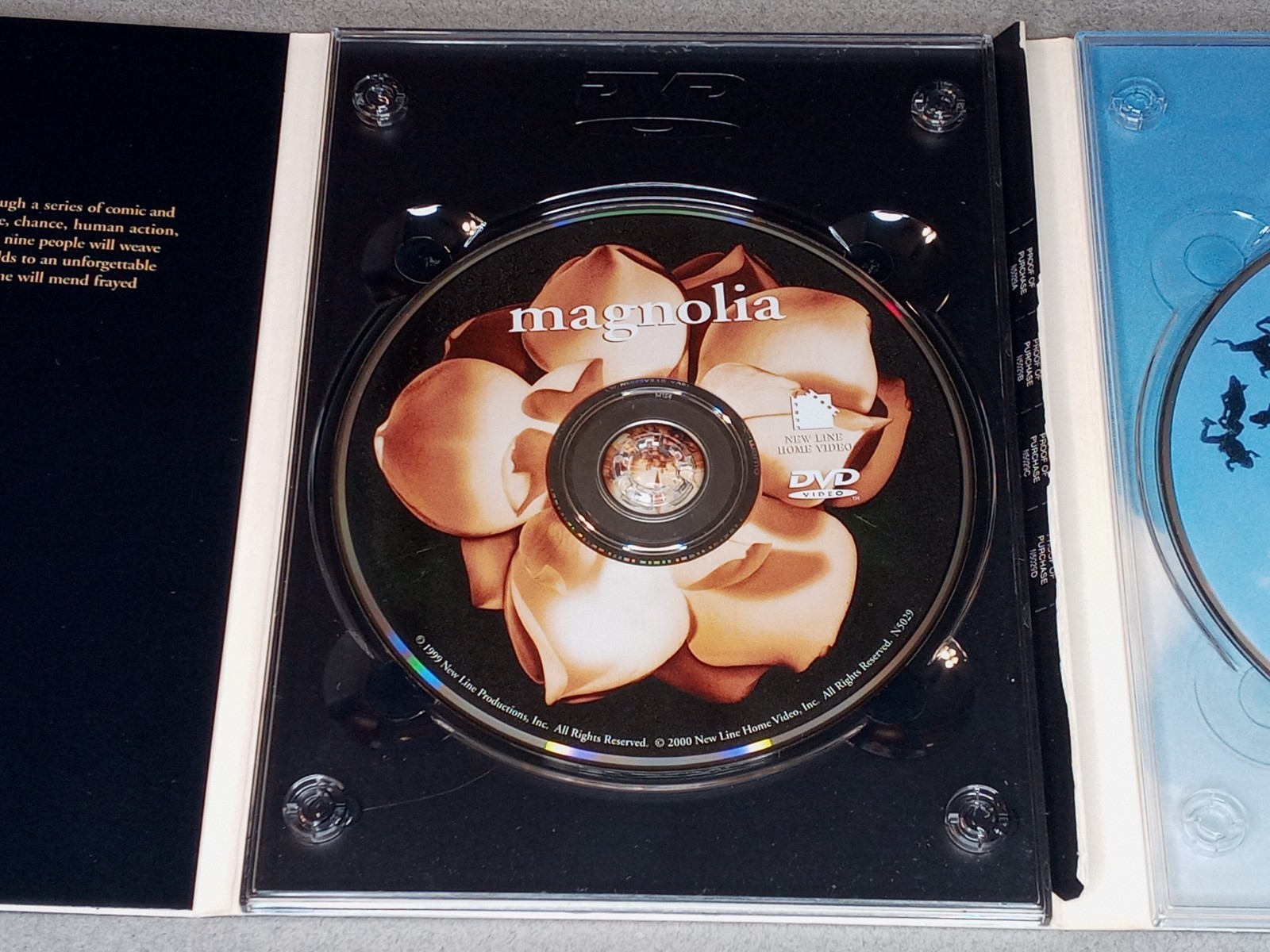 Magnolia (DVD)