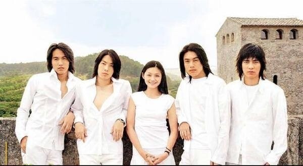 METEOR GARDEN (2001) – CHINESE TV SERIES DVD BOX SET (1-29 EPS) SHIP FROM US
