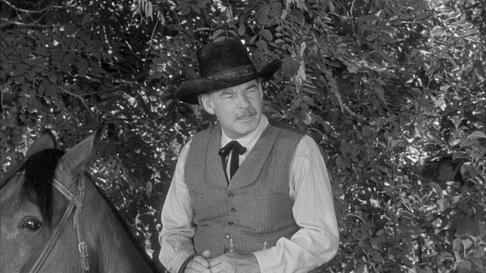 Pursued (Warner Bros., 1947 – 1080P BLURAY WESTERN CLASSIC
