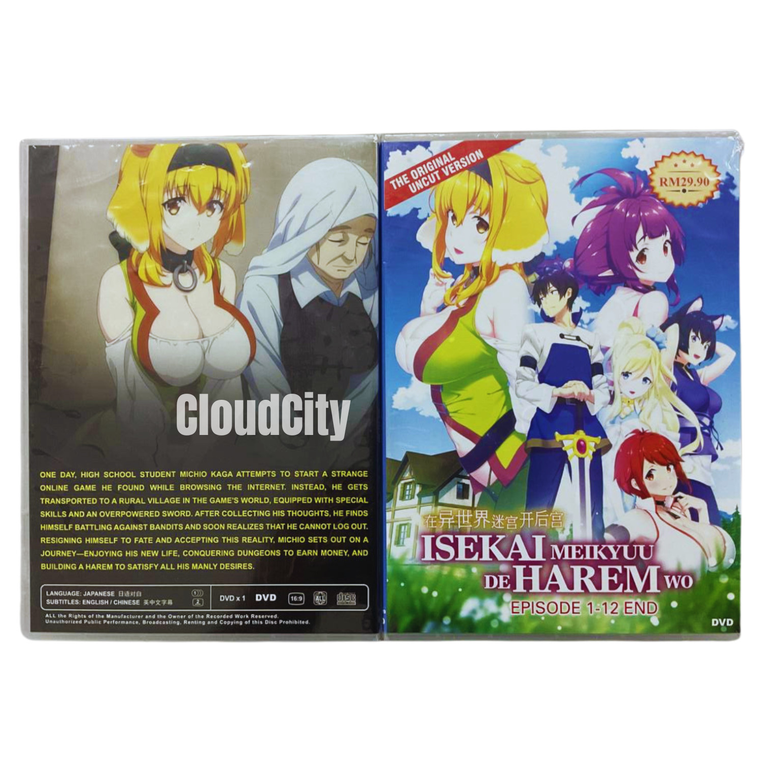 DVD Anime Isekai Meikyuu De Harem Wo(1-12End) English Sub & All Region UNCUT