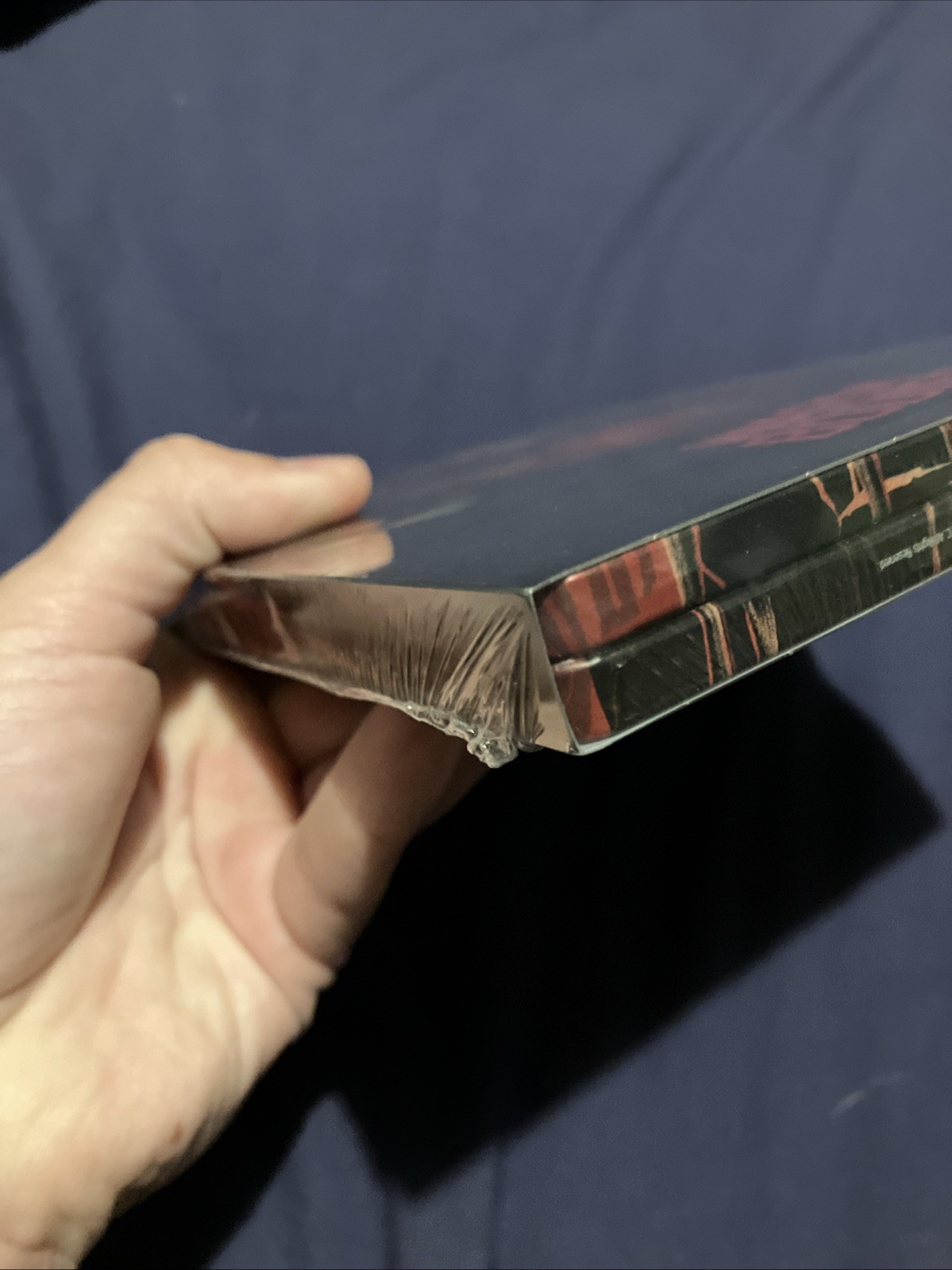 Warm Bodies 4K SteelBook Blu-ray Best Buy Exclusive [2013] US IMPORT NEW SEALED