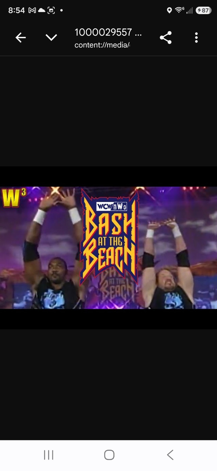 WRESTLING Bash at the Beach 1998 2 DVD Hogan DDP Hart Giant Raven Goldberg