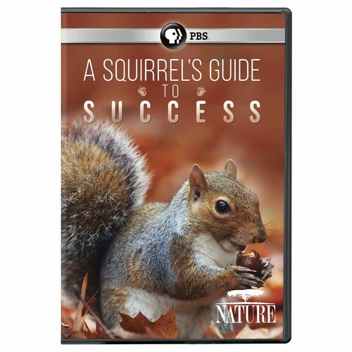 NATURE: A Squirrel’s Guide to Success DVD n/a dvd Used – Good