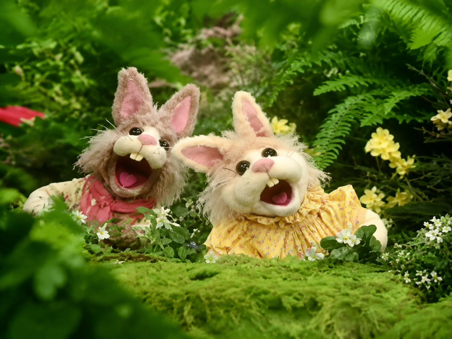 The Tale of the Bunny Picnic (1986) Rare Family TV Special DVD-R MOD Edition