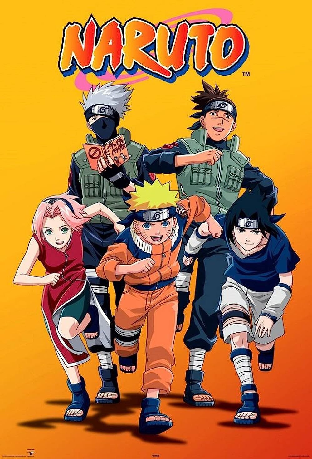 Naruto and Naruto Shippuden Complete Series Anime English DVD