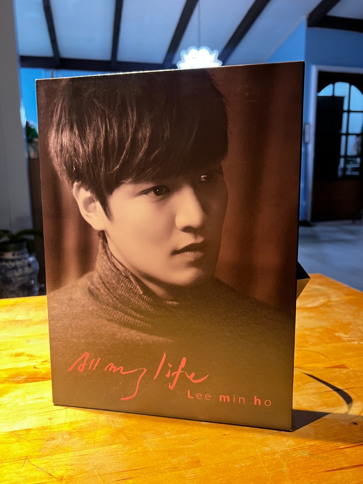 Lee Min Ho All My Life 2014 Global Tour Concert DVD Photobook 2 Disc Korea