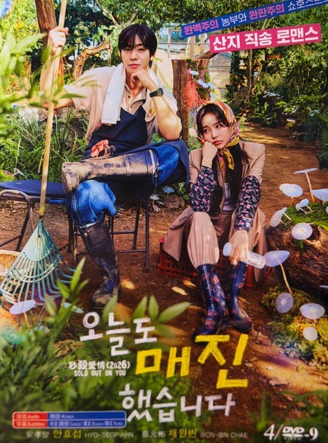 Korean Drama – Sold Out On You