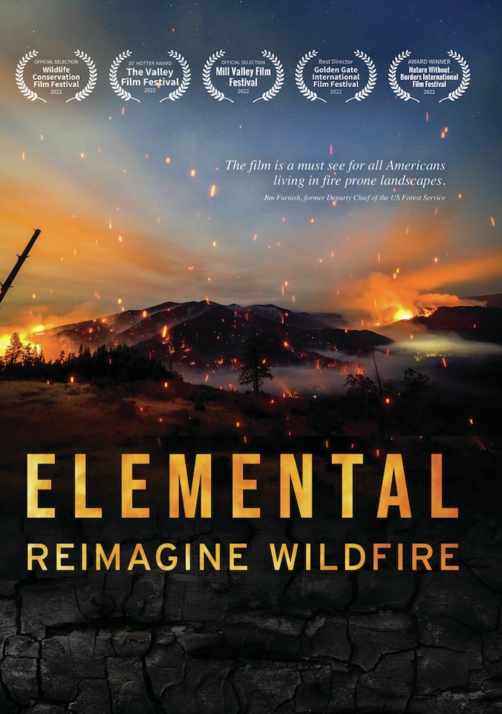 ELEMENTAL: REIMAGINE WILDFIRE