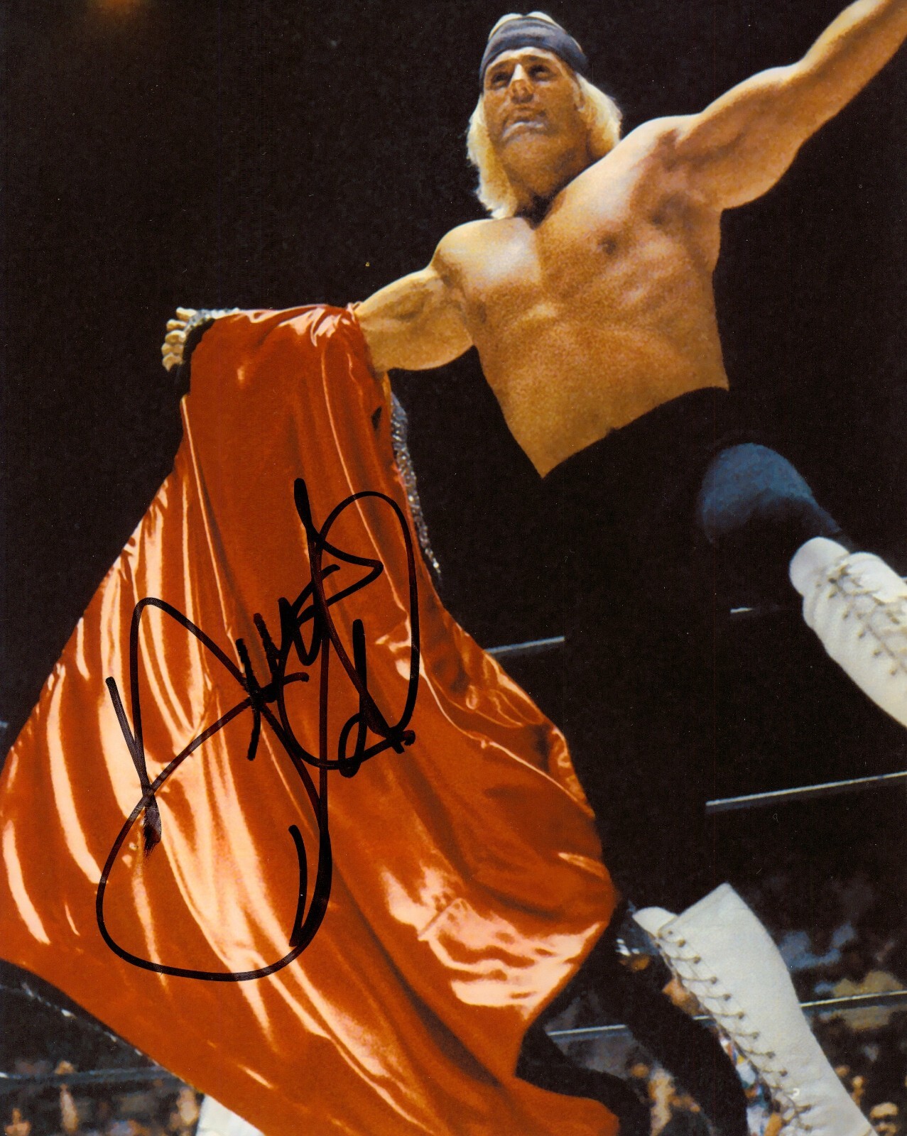 WRESTLING SUPERSTARS – AUSTIN IDOL   VOLs 1-10 – PRO WRESTLING
