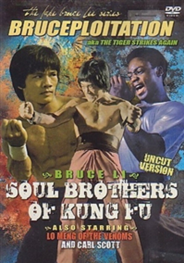 SOUL BROTHERS OF KUNG FU- Hong Kong RARE Kung Fu Martial Arts movie —37D