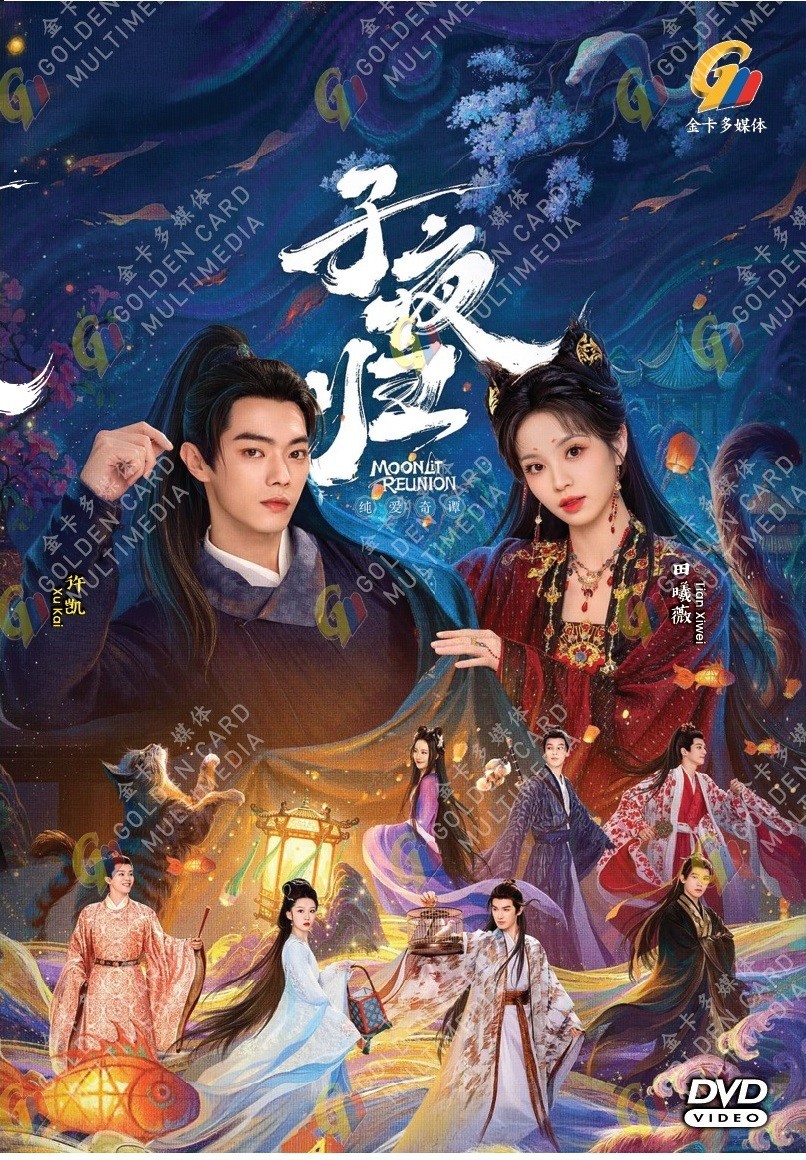 Chinese Drama DVD Moonlit Reunion TV Series Vol.1-38End (2025 , 子夜归) English Sub