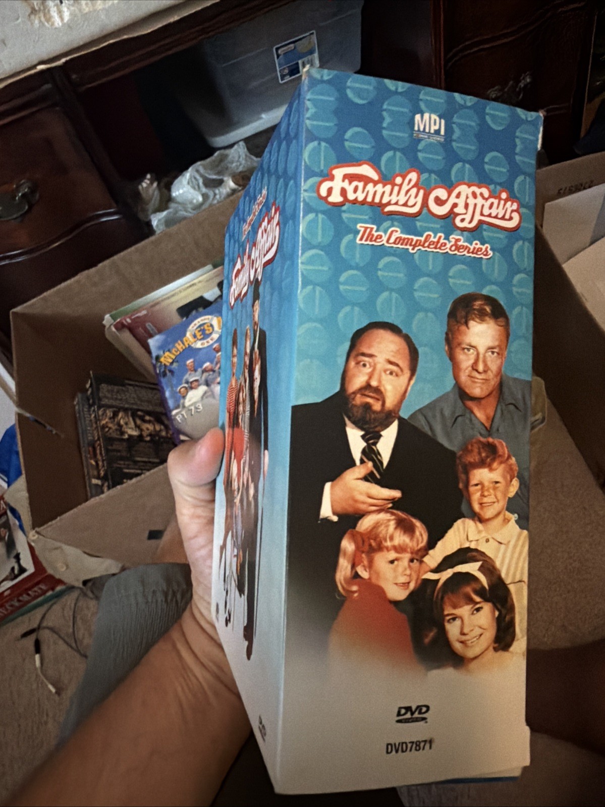 Family Affair: the Complete Series (DVD)