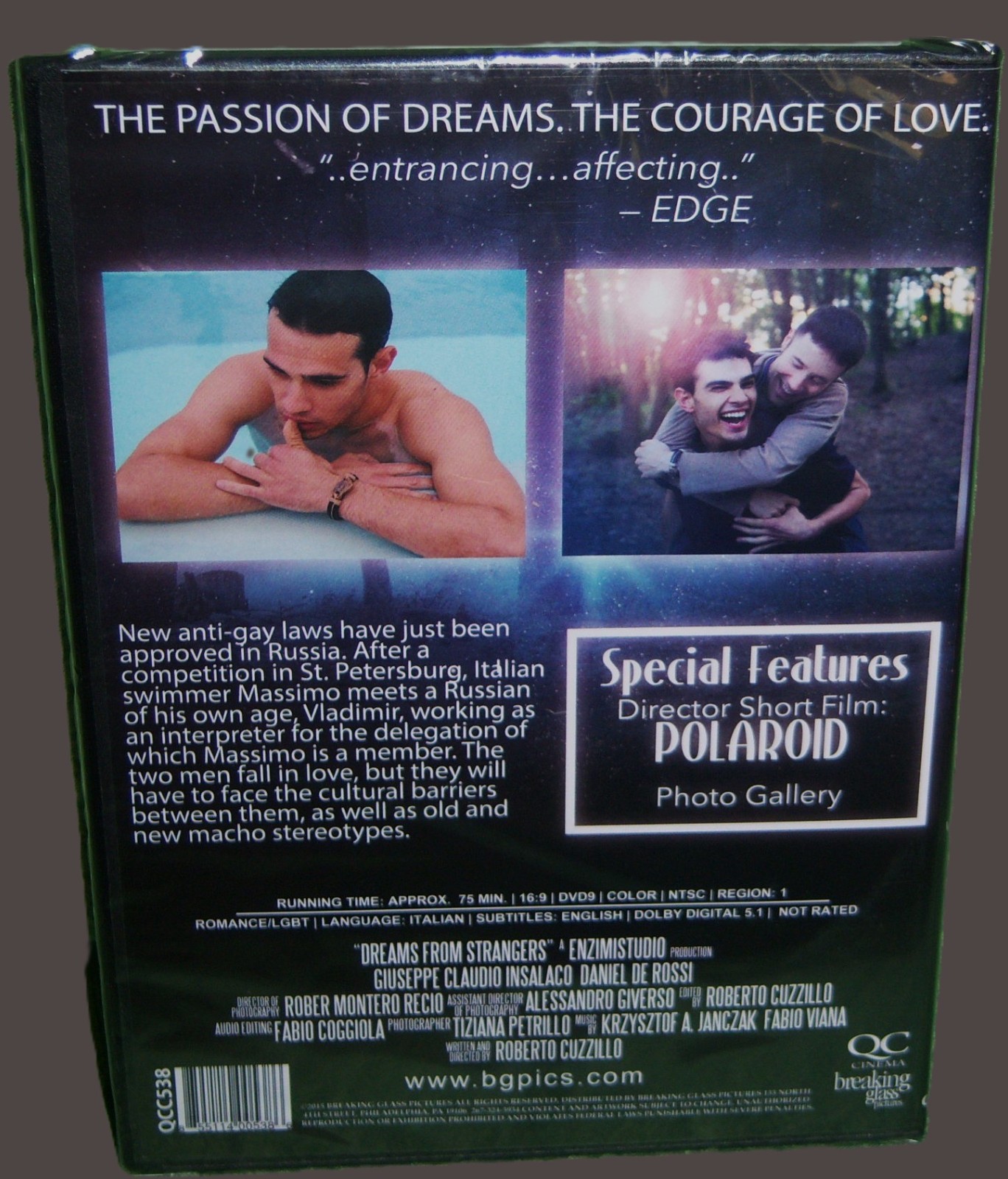 NEW BREAKING GLASS GAY THEMED ROBERTO CUZZILLO DREAMS FROM STRANGERS FOREIGN DVD