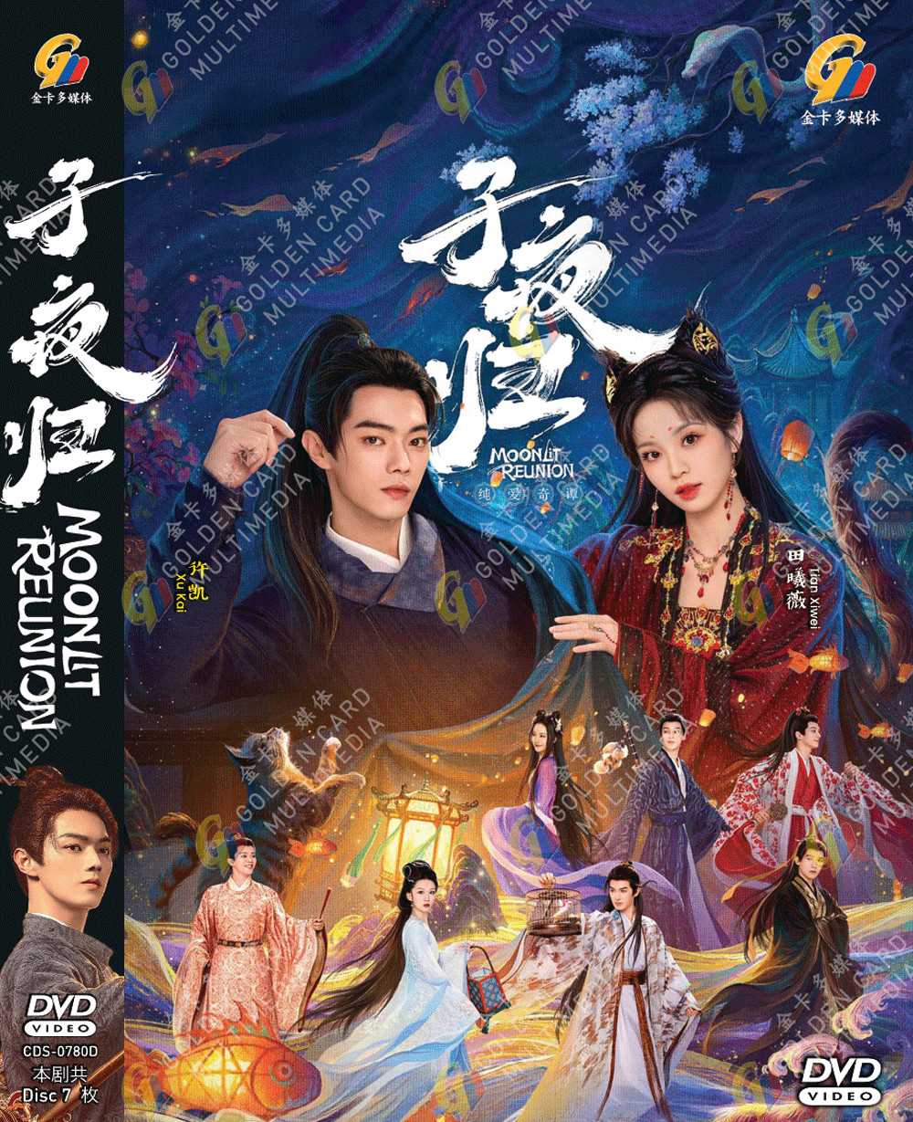 CHINESE DRAMA MOONLIT REUNION 子夜归 VOL.1-38 END DVD ENGLISH SUBTITLE