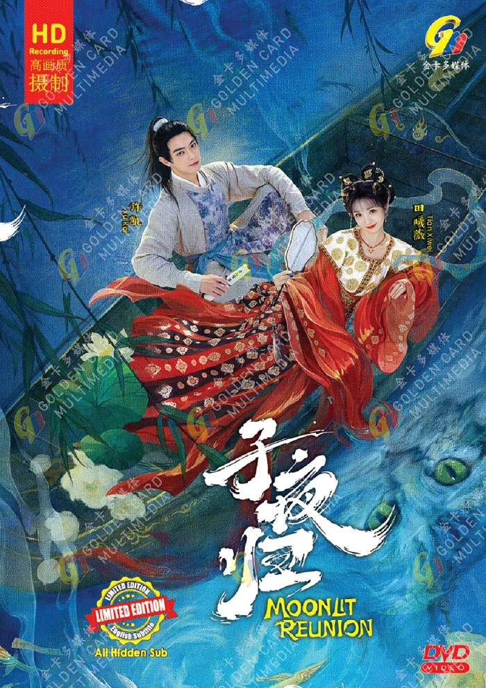 Moonlit Reunion 子夜归 Vol. 1-38 END DVD (Chinese Drama) (English Sub)