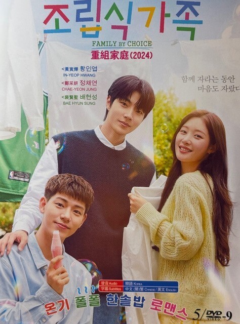 Korean Drama – Family By Choice