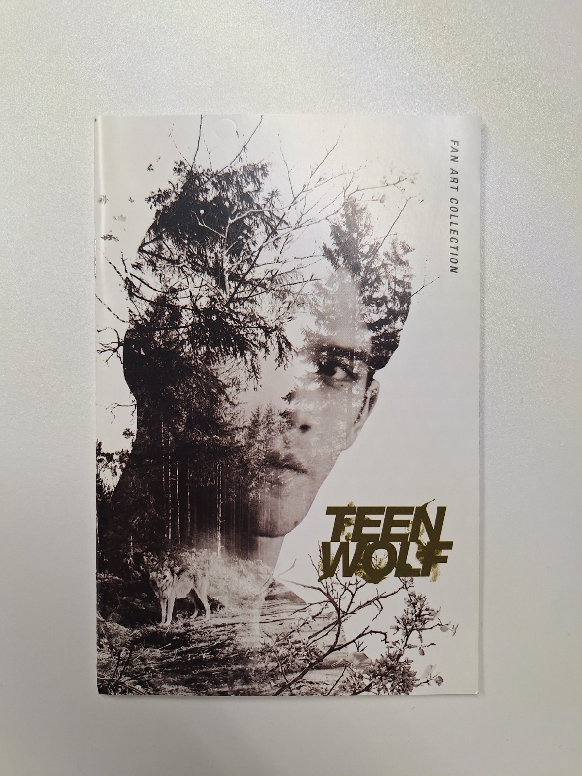 Teen Wolf (DVD) Seasons 1, 2, 3, 4, TV Series Lot With Bestiary, Art book + More