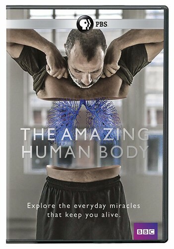 The Amazing Human Body DVD, Good DVD, n/a, Martin Johnson;Matthew Dyas;Penn