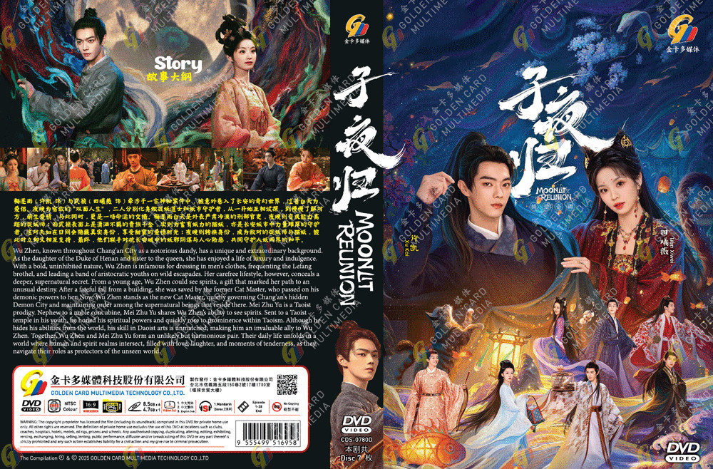 CHINESE DRAMA MOONLIT REUNION 子夜归 VOL.1-38 END DVD ENGLISH SUBTITLE