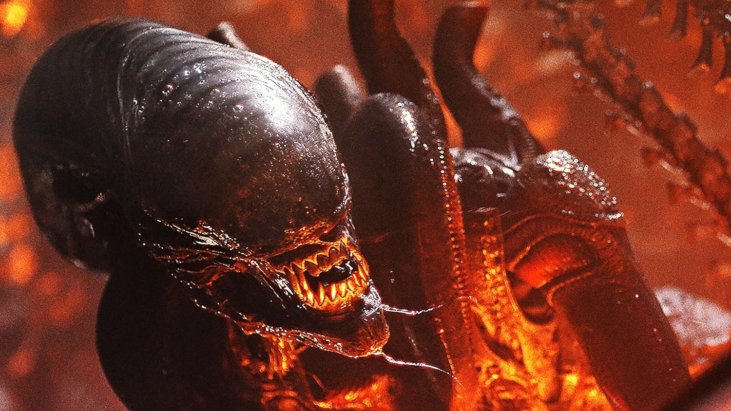 New Steelbook Alien: Romulus (4K / Blu-ray + Digital)