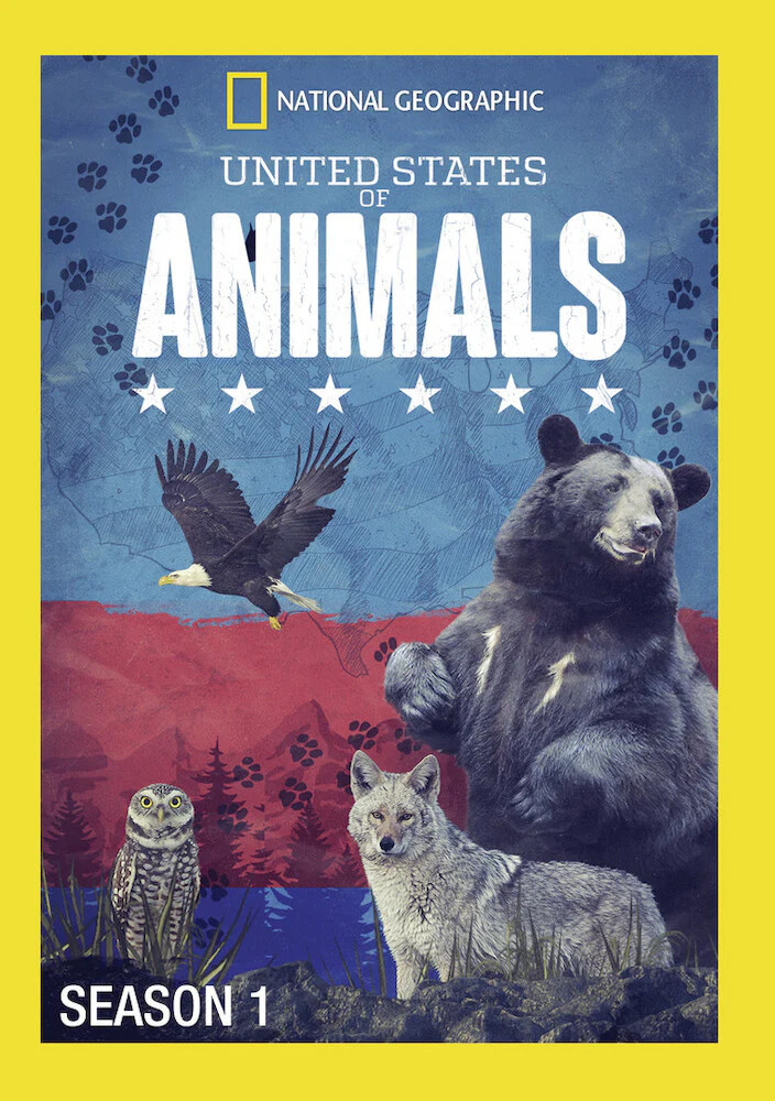 United States Of Animals Season 1 (MOD) (DVD Movie)