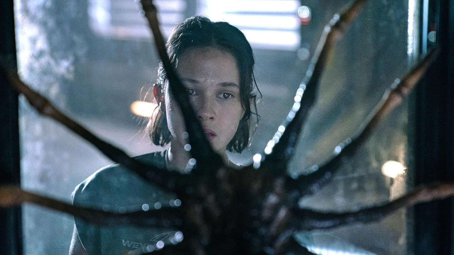 New Steelbook Alien: Romulus (4K / Blu-ray + Digital)