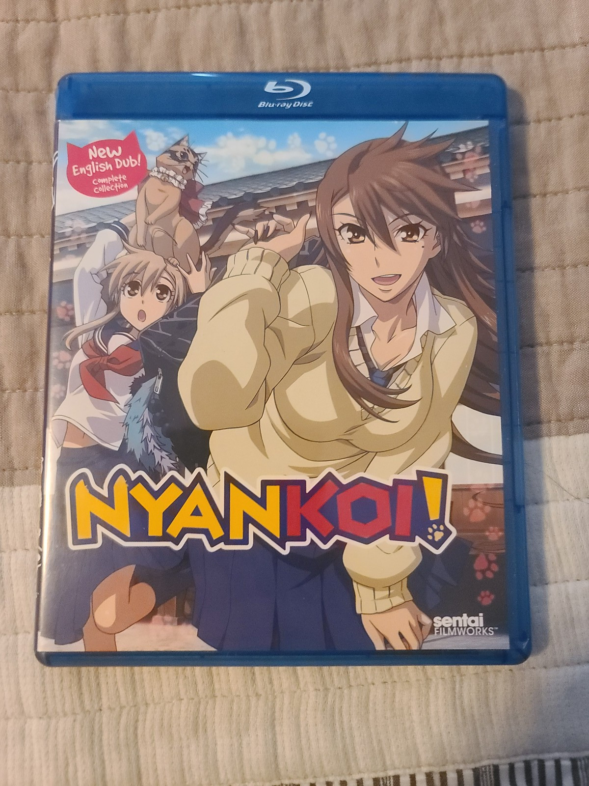 Nyan Koi!: Complete Collection (Blu-ray, 2013, 2-Disc Set)