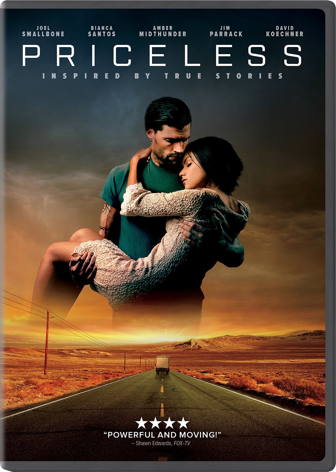 Priceless (DVD) Joel Smallbone Bianca Santos Amber Midthunder Jim Parrack