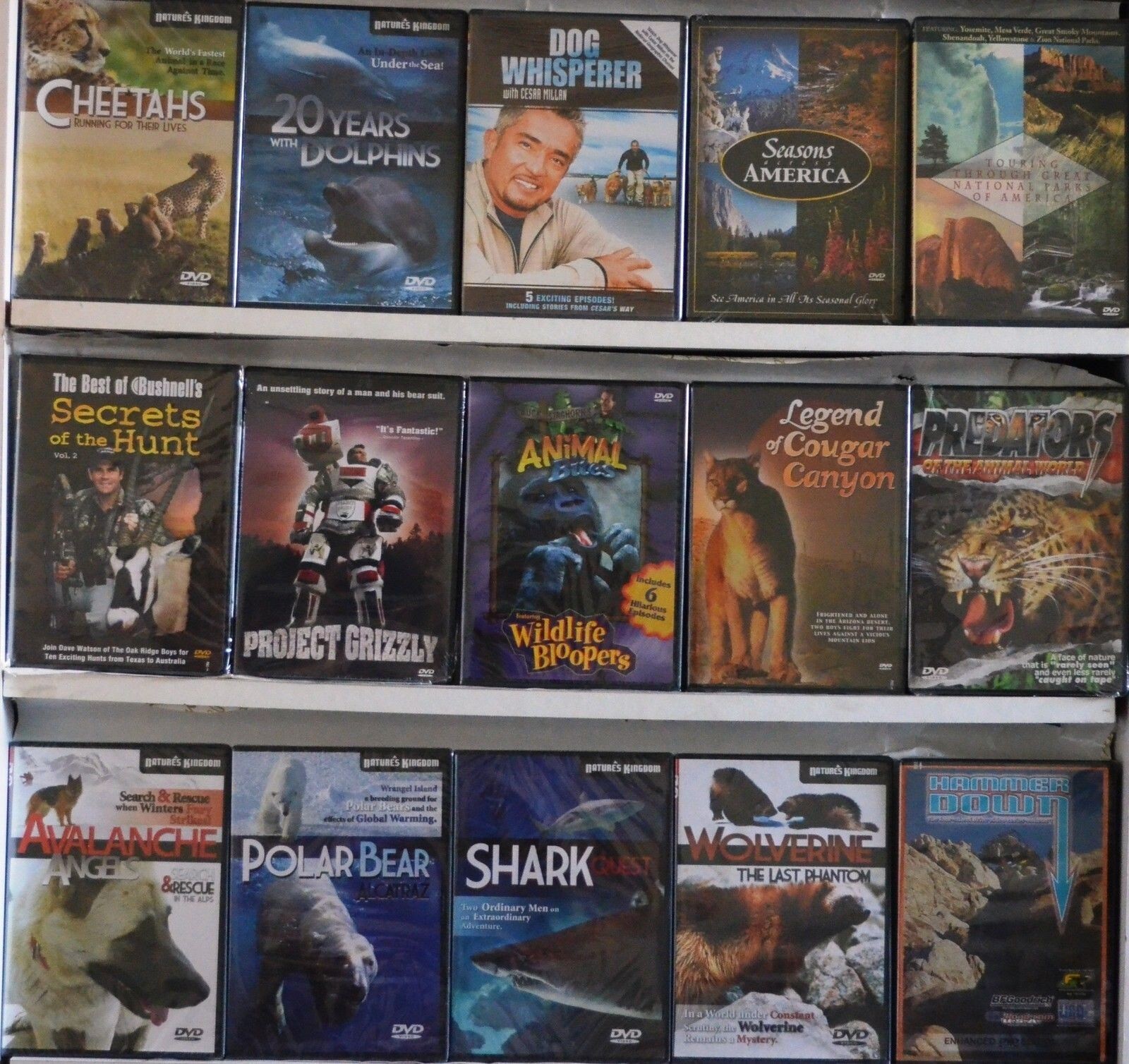 Inventory liquidation Wholesale Lot of 100 New DVD Assorted Bulk No Dups Nice 1!