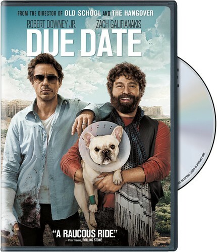 Due Date (DVD, 2010, Widescreen) – **DISC ONLY – NO CASE**