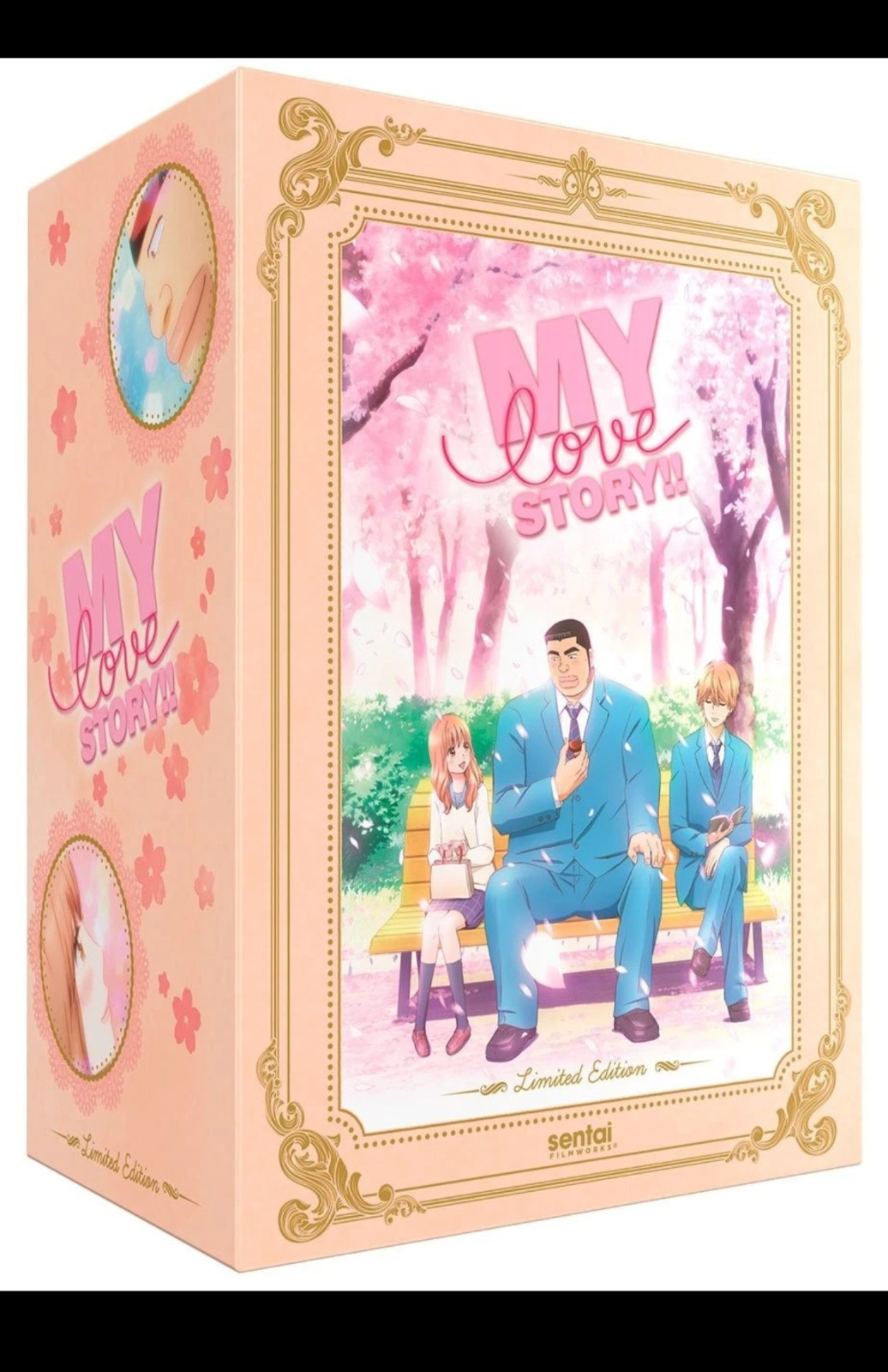 MY LOVE STORY!! LIMITED EDITION PREMIUM BLU-RAY/DVD 8-DISC BOX SET [BRAND NEW]