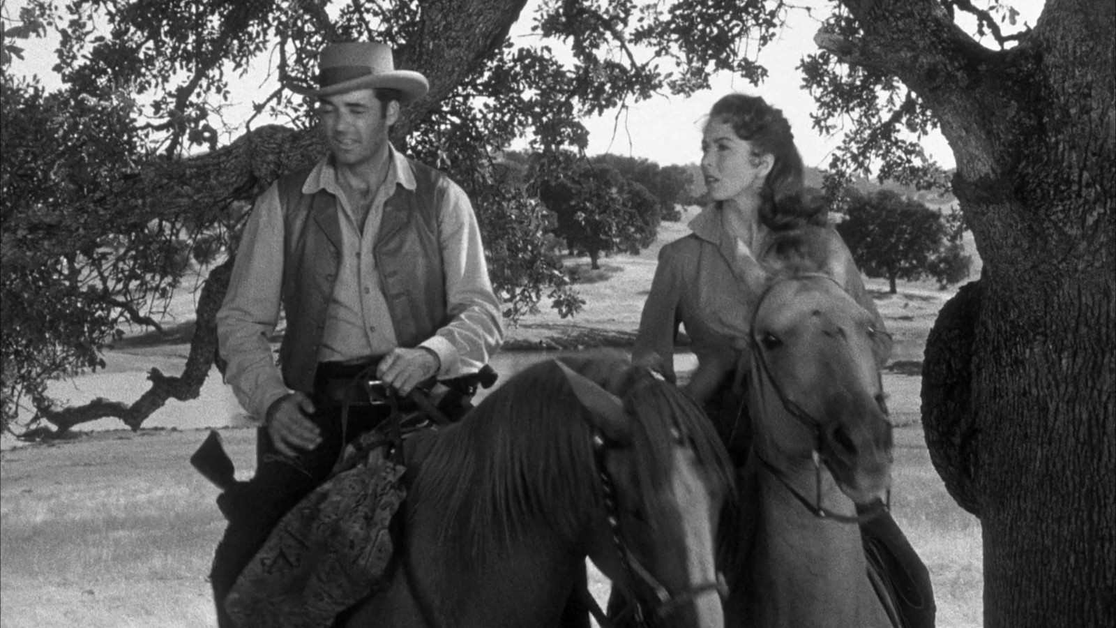 Pursued (Warner Bros., 1947 – 1080P BLURAY WESTERN CLASSIC