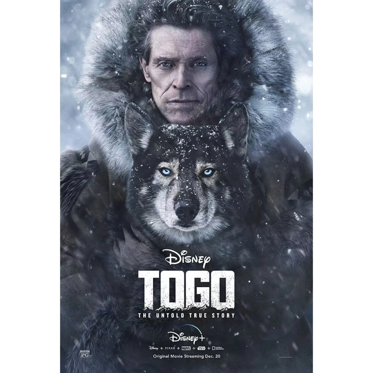 Togo (2019) Blu-ray DVD NEW 1080p Full HD Adventure Movie Blueray Region Free