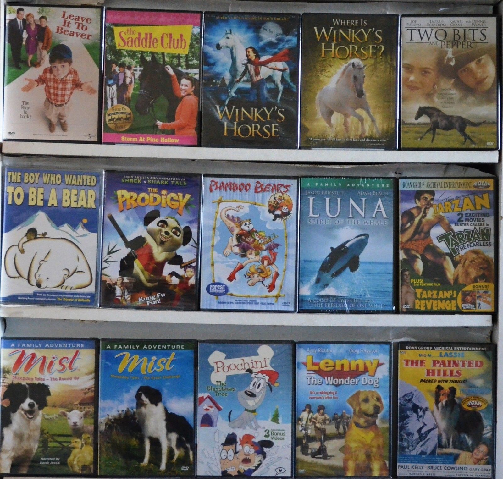 Inventory liquidation Wholesale Lot of 100 New DVD Assorted Bulk No Dups Nice 1!
