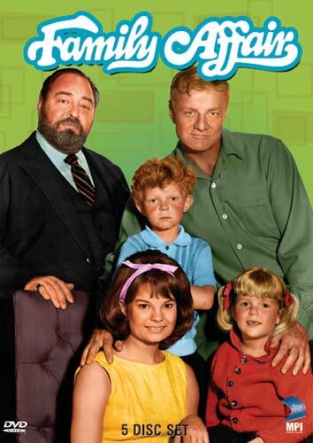 FAMILY AFFAIR SEASON 4 – Dvd – GOOD