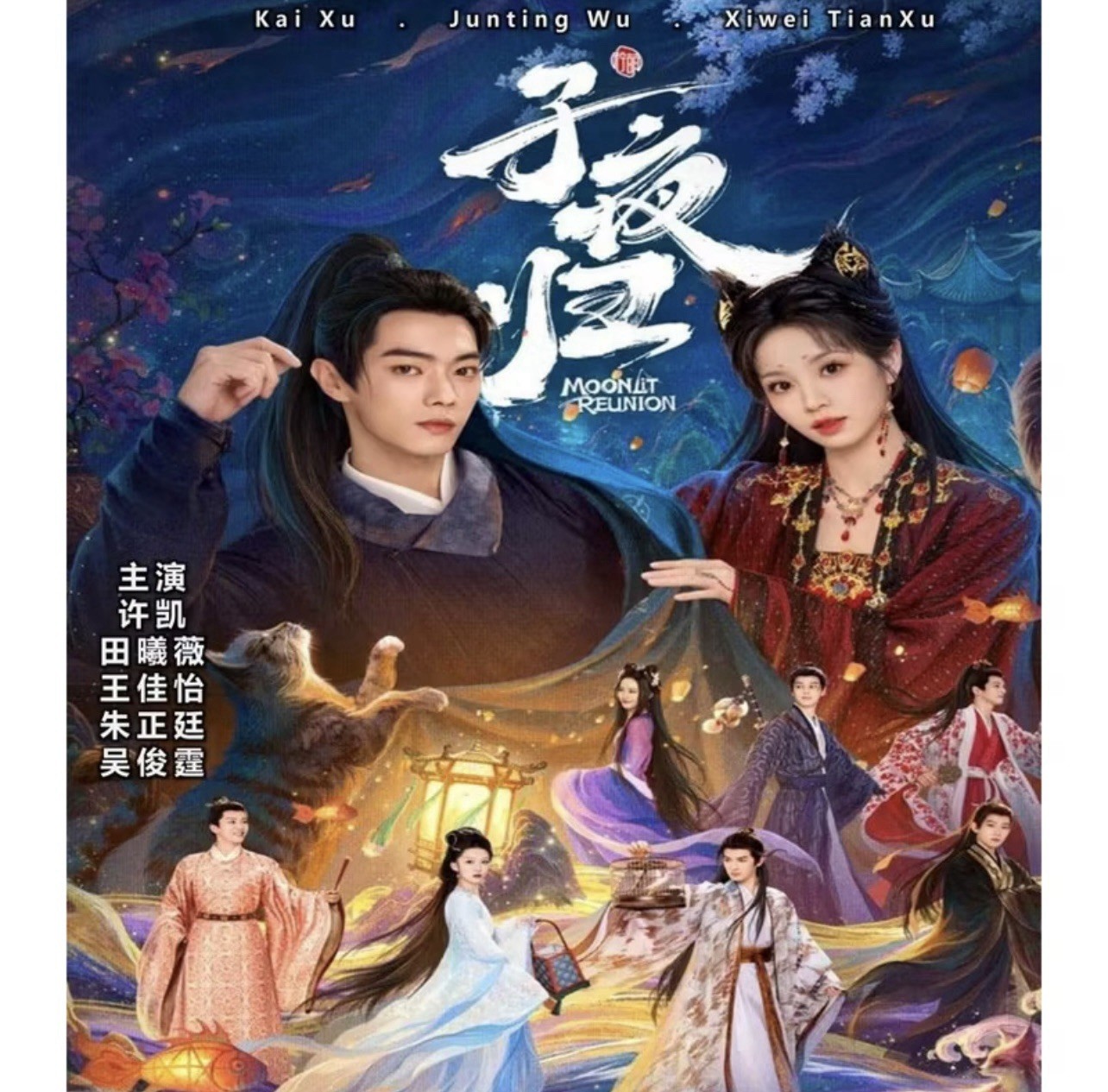 Moonlit Reunion (2025) Dvd Chinese Drama Series English Subtitle