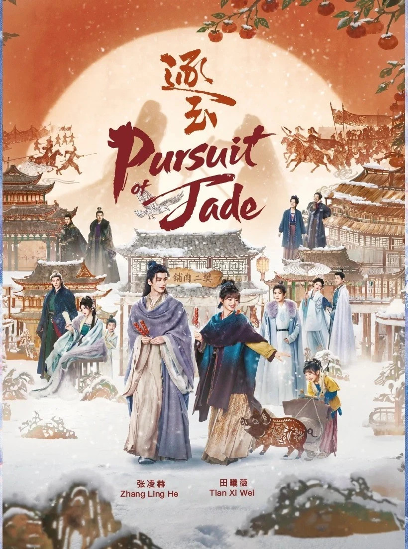 Chinese Drama DVD Pursuit of Jade 逐玉 Episode 1-40 End English Subtitle Box Set