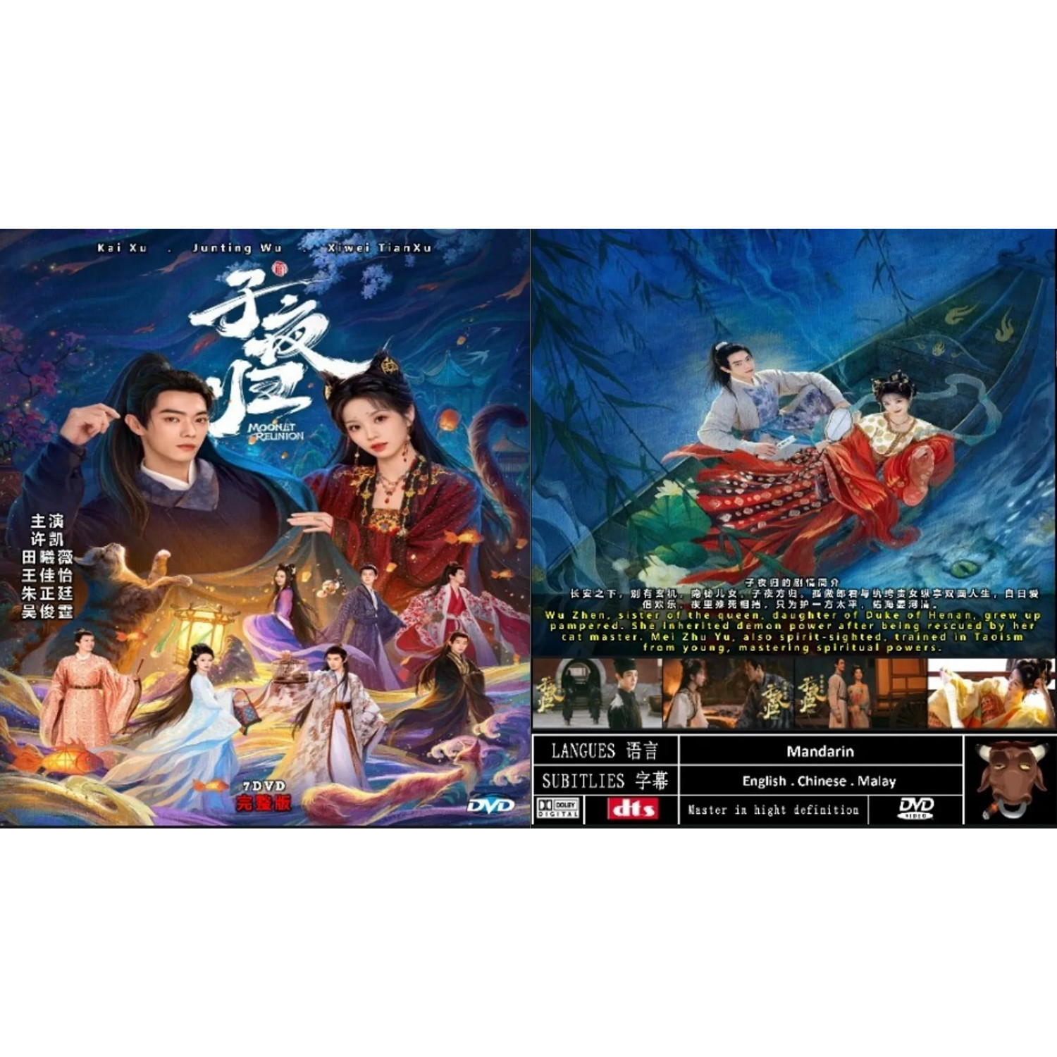 DVD Moonlit Reunion (2025) Chinese Drama | English Subtitle | Free Region CD