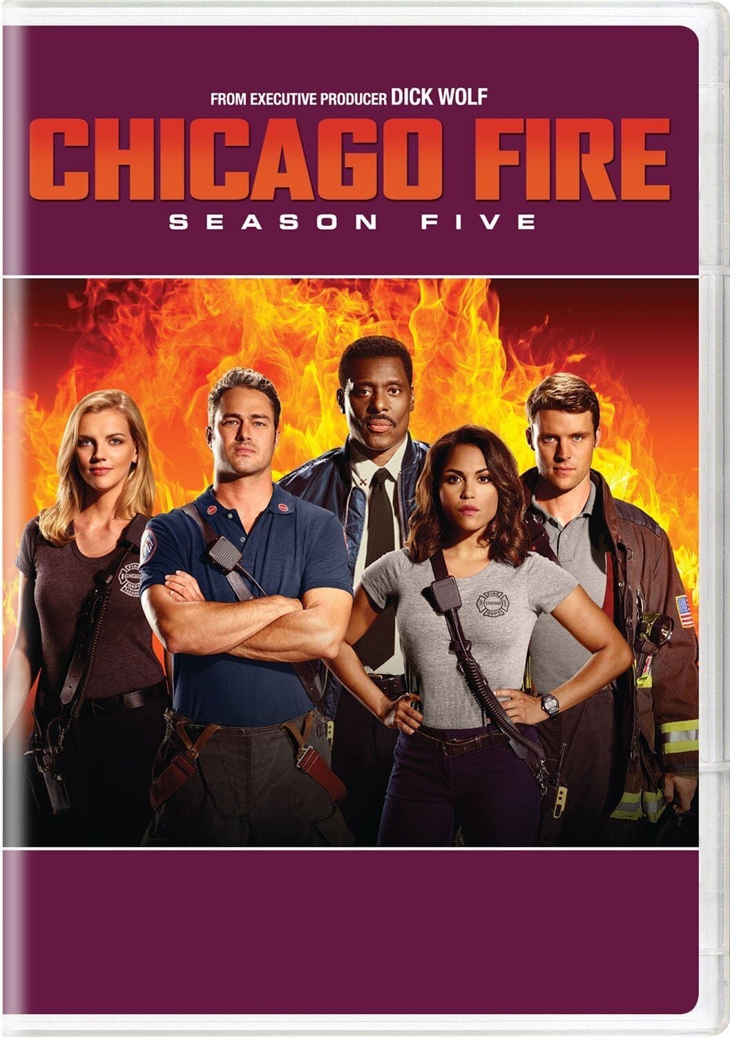Chicago Fire: Seasons 1-12 Complete Box Set (DVD Collection)