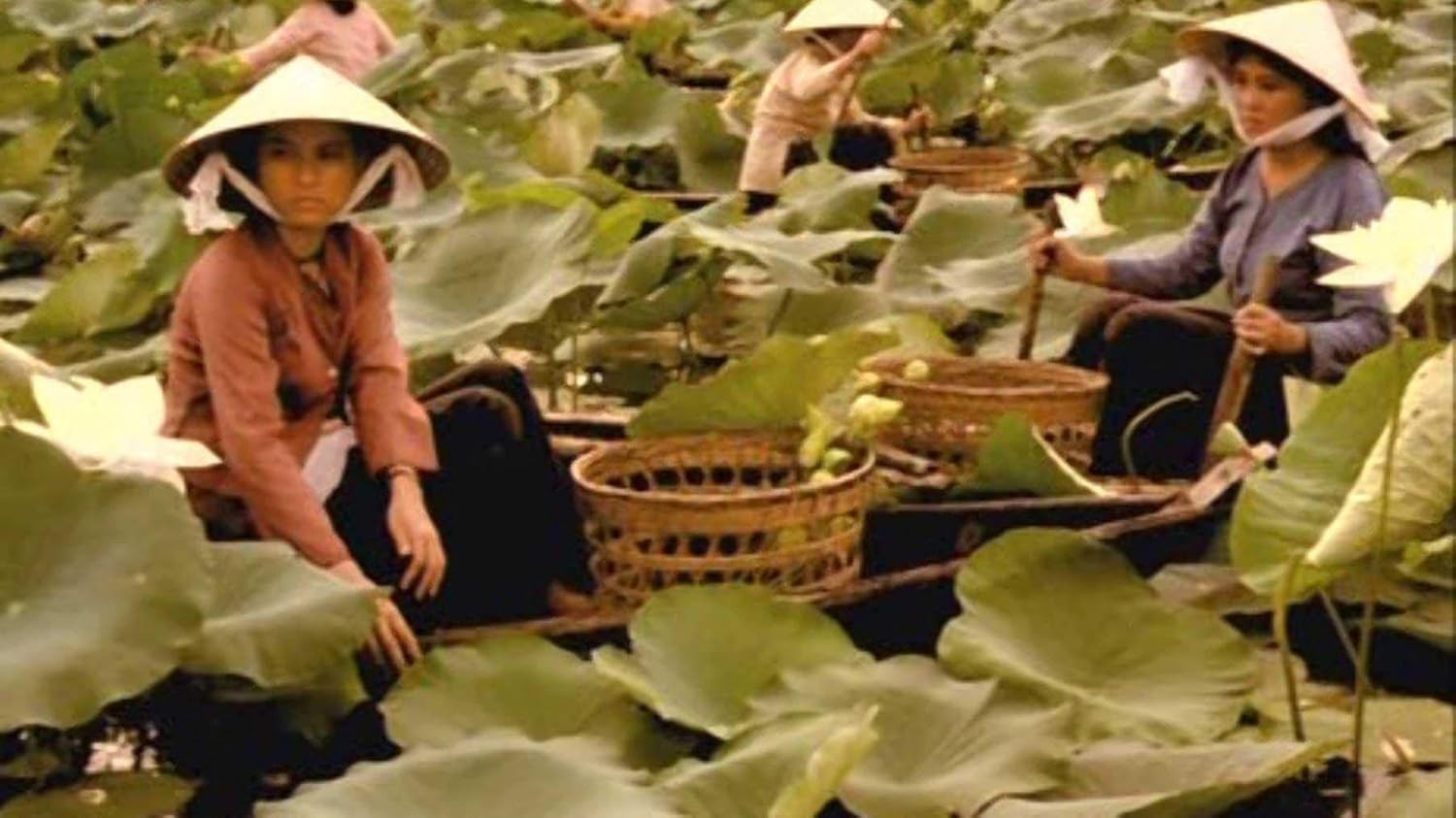 Three Seasons (1999 Giai Phong/October Films Studios, Tony Bui, PG-13 All Region