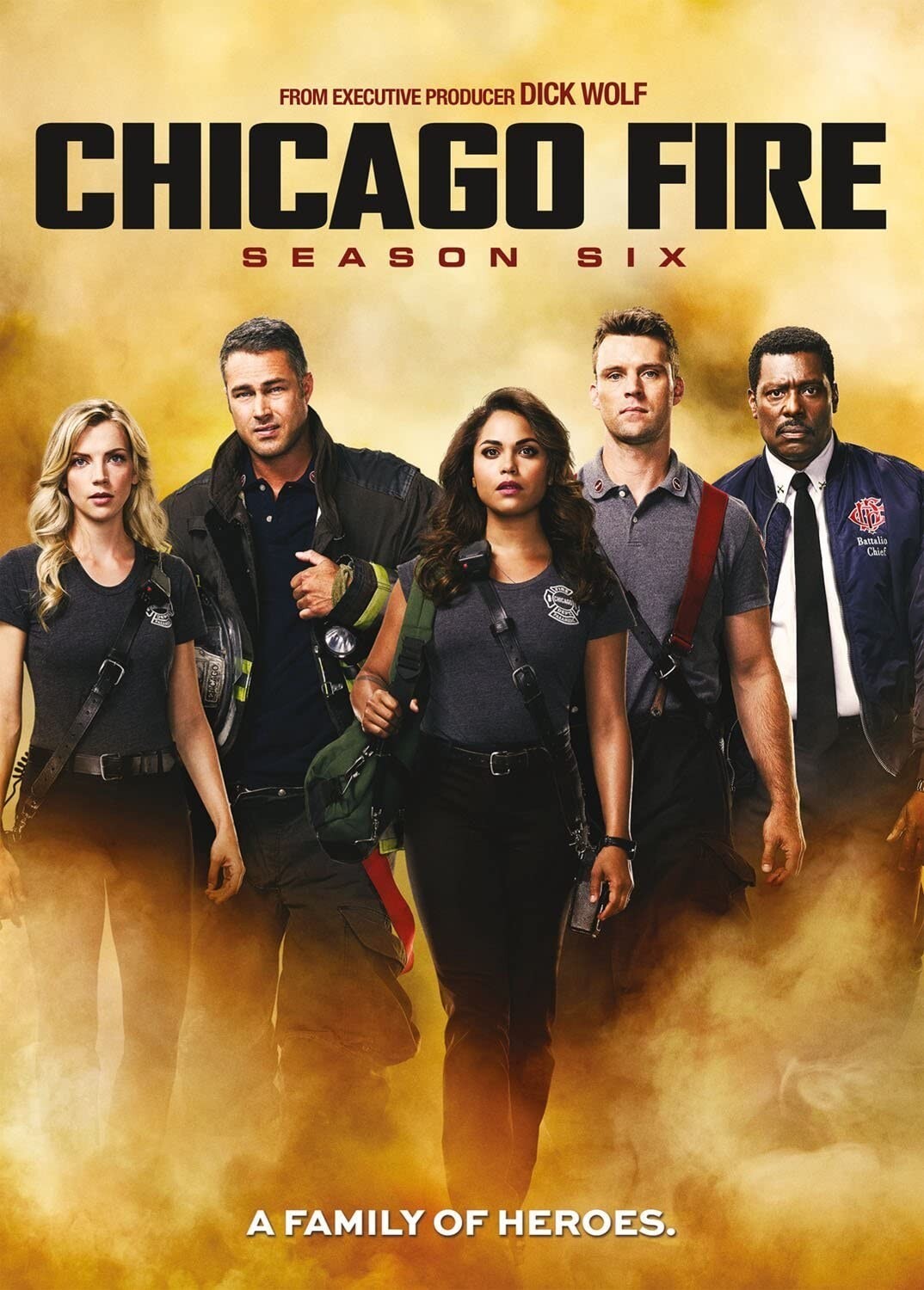 Chicago Fire: Seasons 1-12 Complete Box Set (DVD Collection)