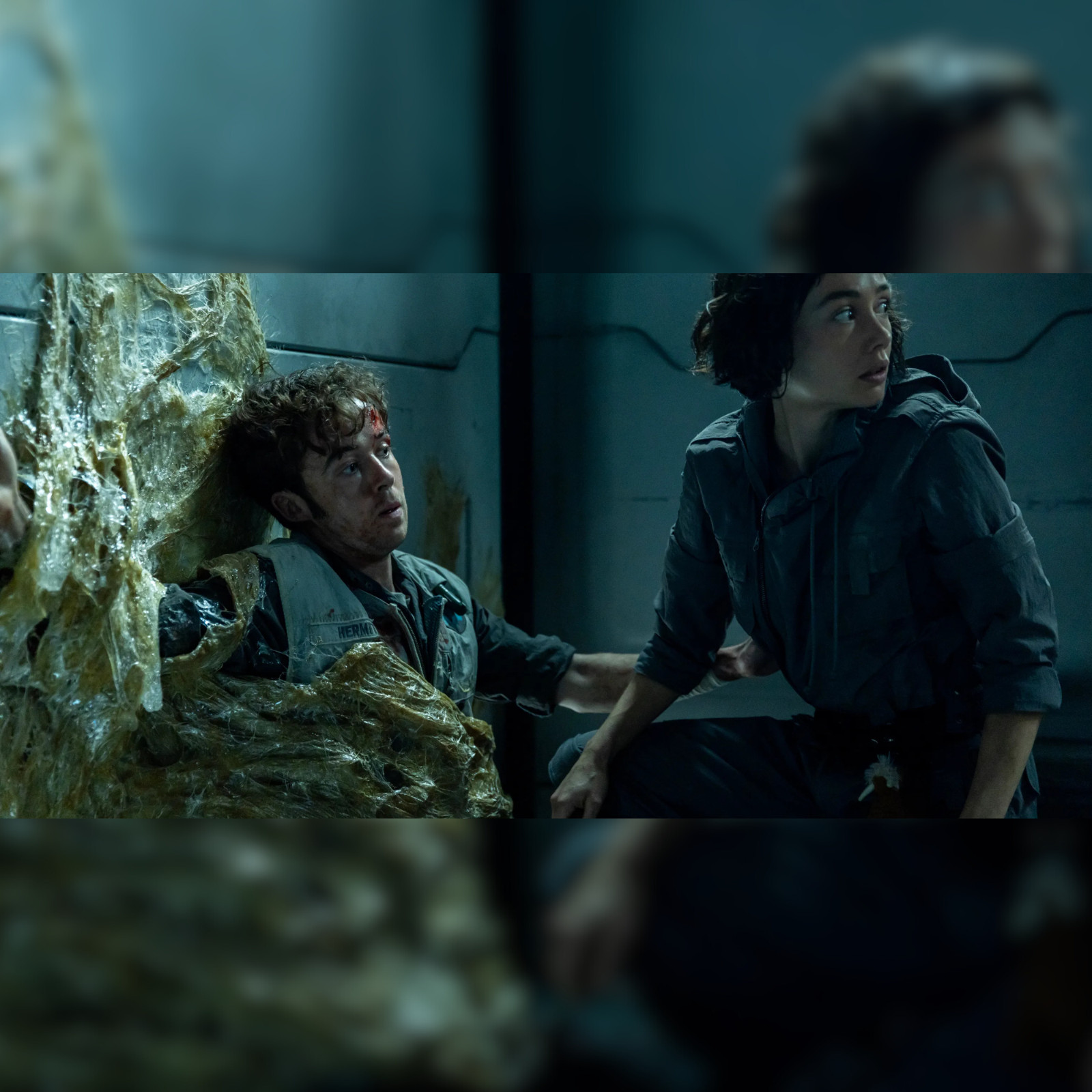 Blu-ray | Alien: Earth TV Series Season 1 (2025)Full HD Audio All Region(2 Disc)