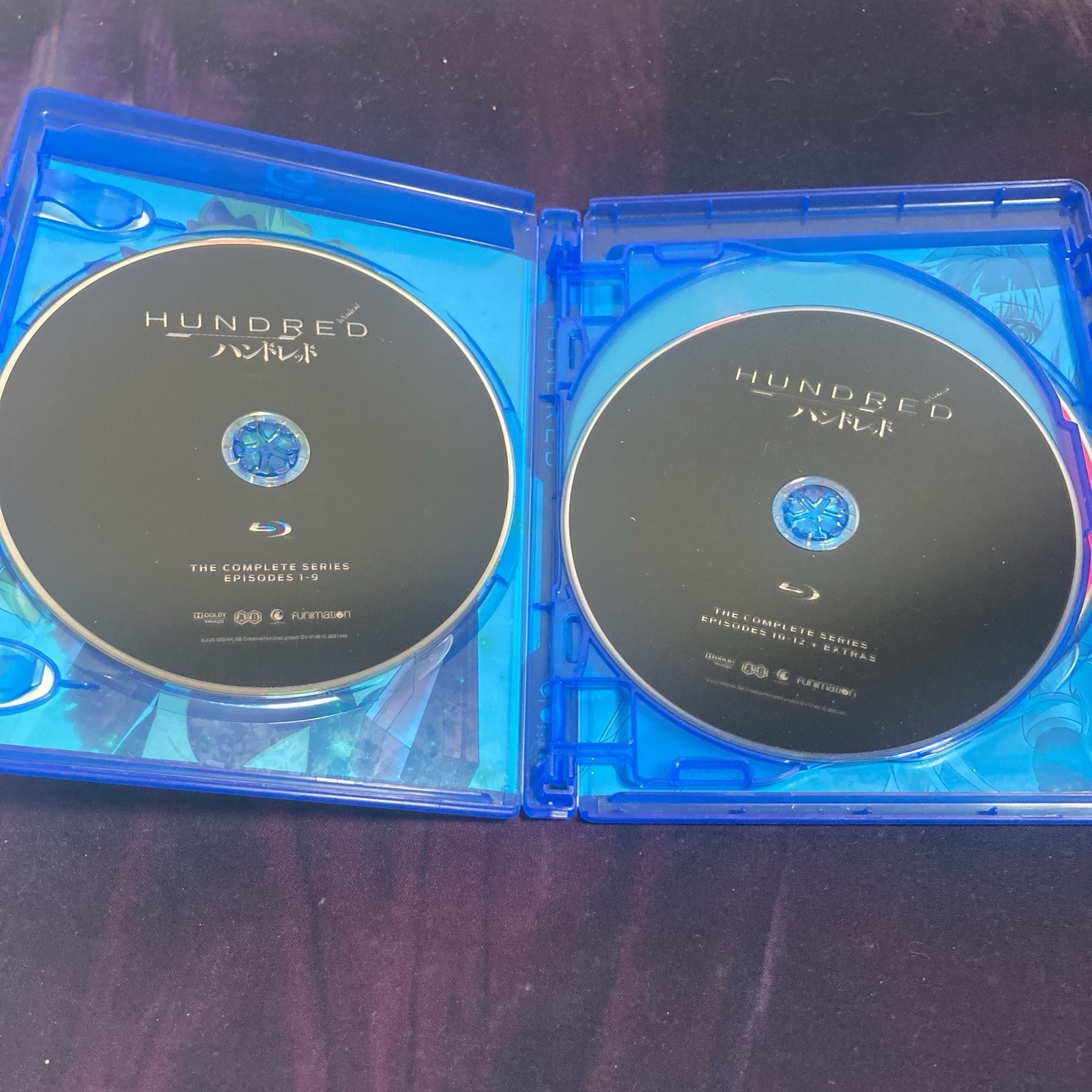 Hundred: the Complete Series (Blu-Ray, DVD Combo, 12 Episodes) LN READ