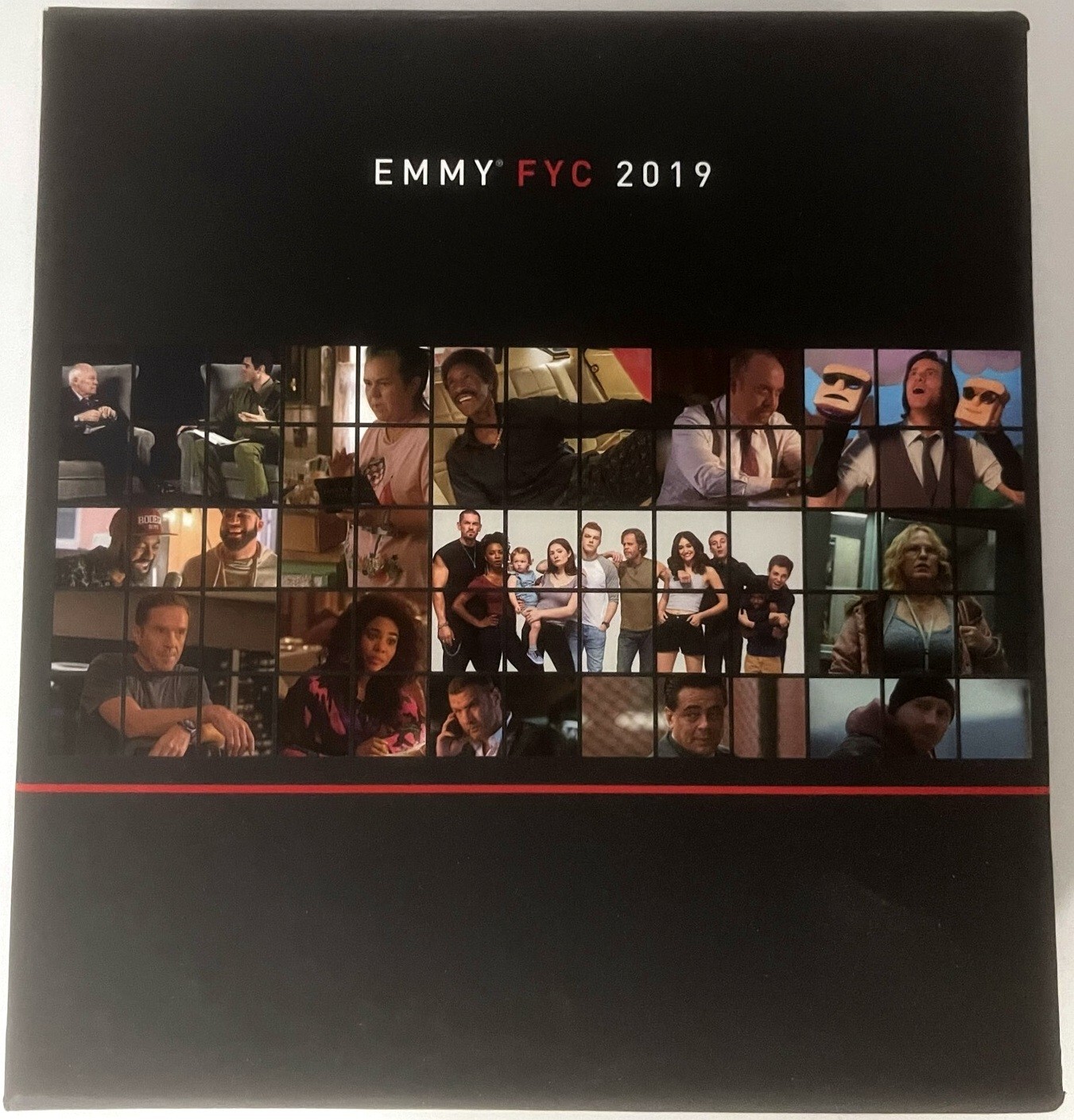 Showtime Emmy FYC DVD 2019 Billions Ray Donovan Shameless Affair Chi Jim Carrey