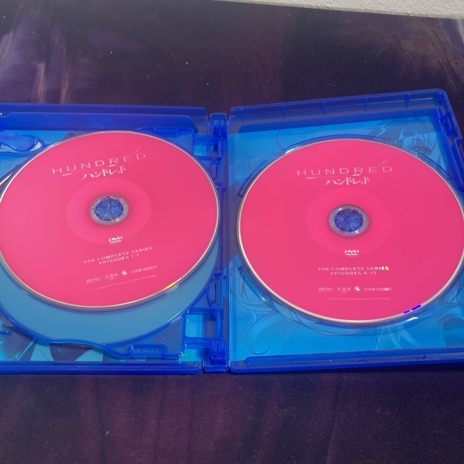 Hundred: the Complete Series (Blu-Ray, DVD Combo, 12 Episodes) LN READ